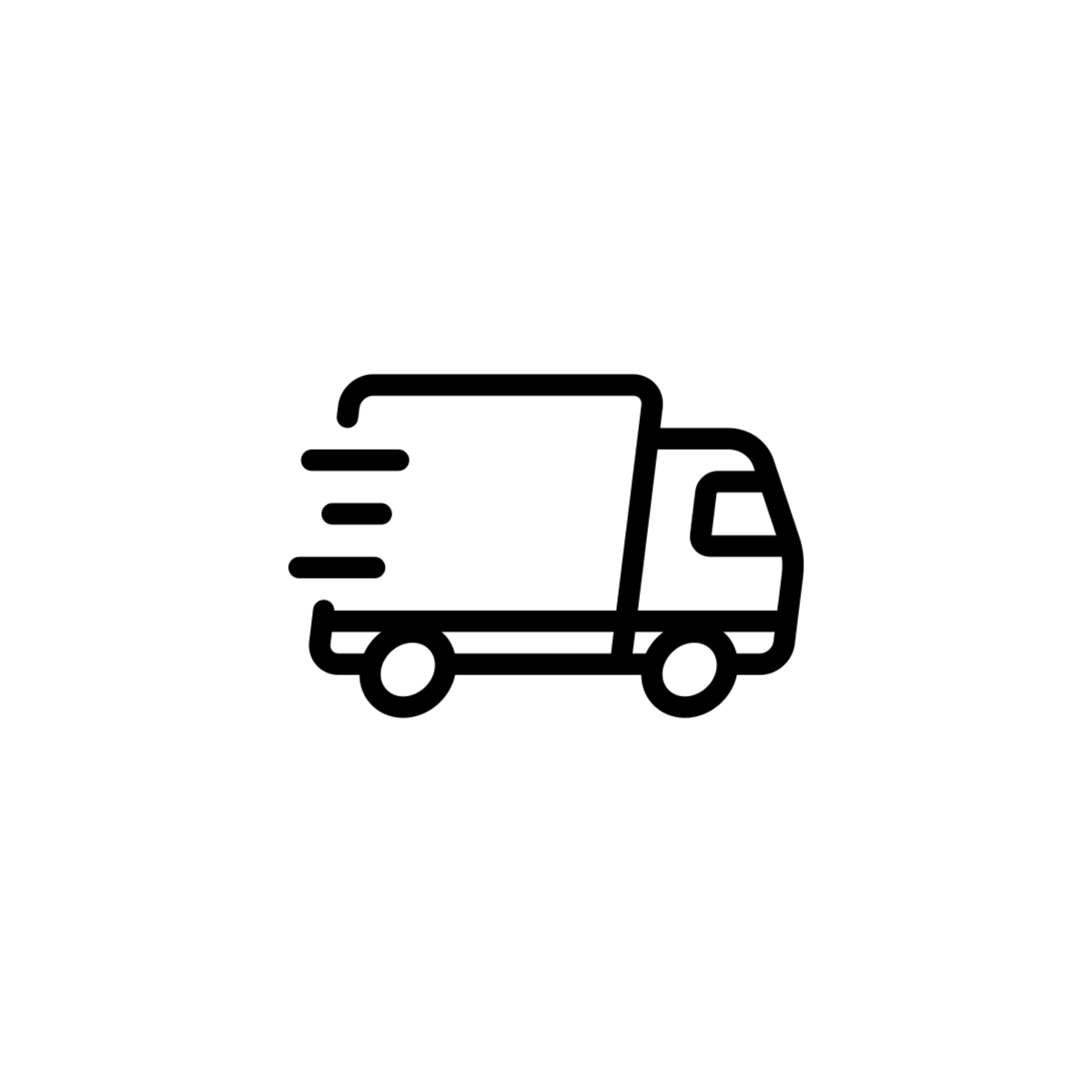 Fast and secure delivery icon